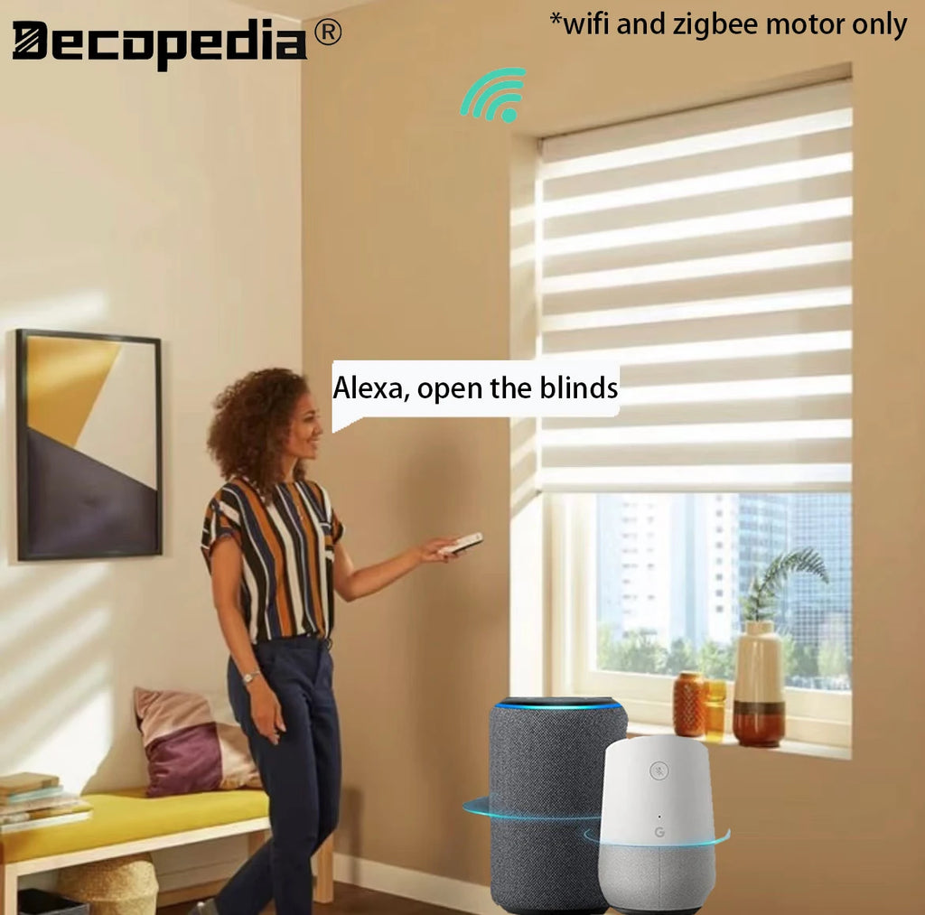 Custom Motorized Zebra Blinds – Day & Night