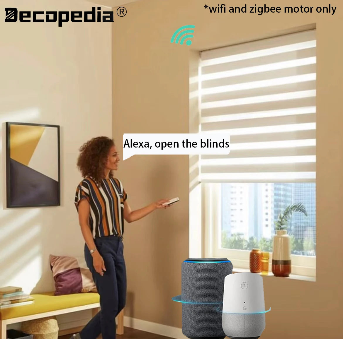 Custom Motorized Zebra Blinds – Day & Night