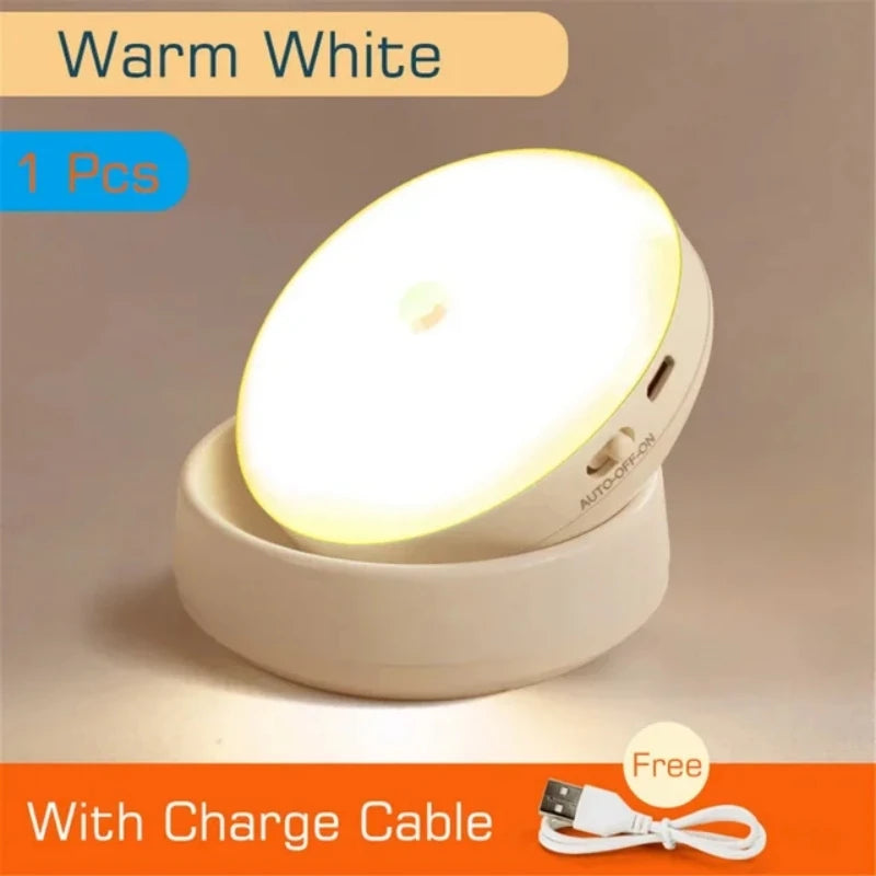 USB Rechargeable Motion Sensor LED Light