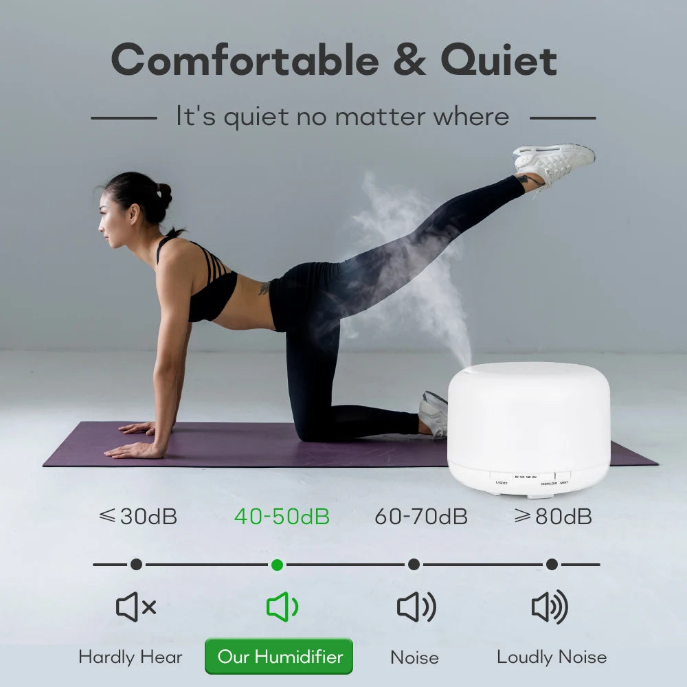 Ultrasonic Air Humidifier & Diffuser