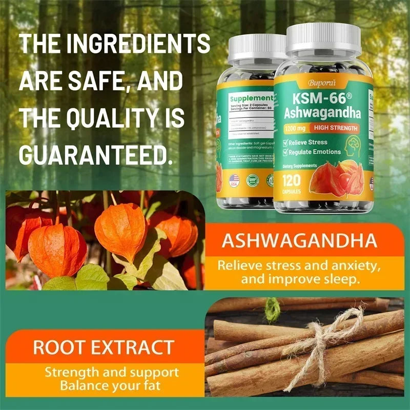 KSM-66 Ashwagandha Supplement