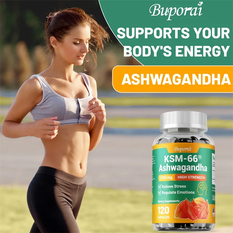 KSM-66 Ashwagandha Supplement