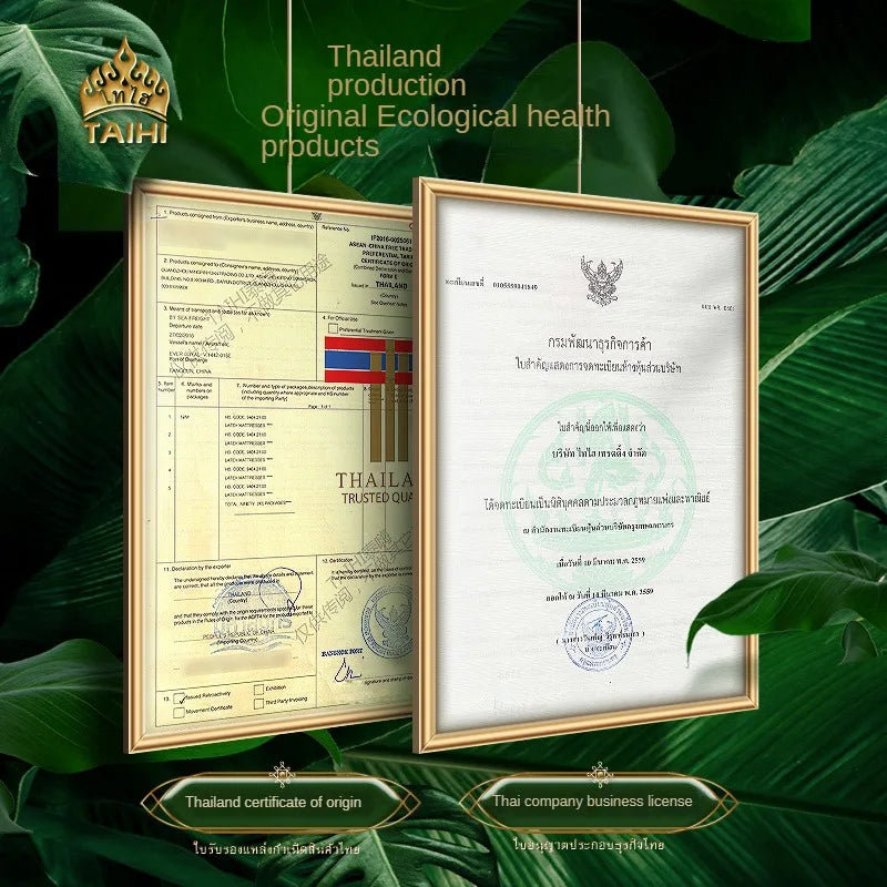 TAIHI Orthopedic Latex Neck Pillow