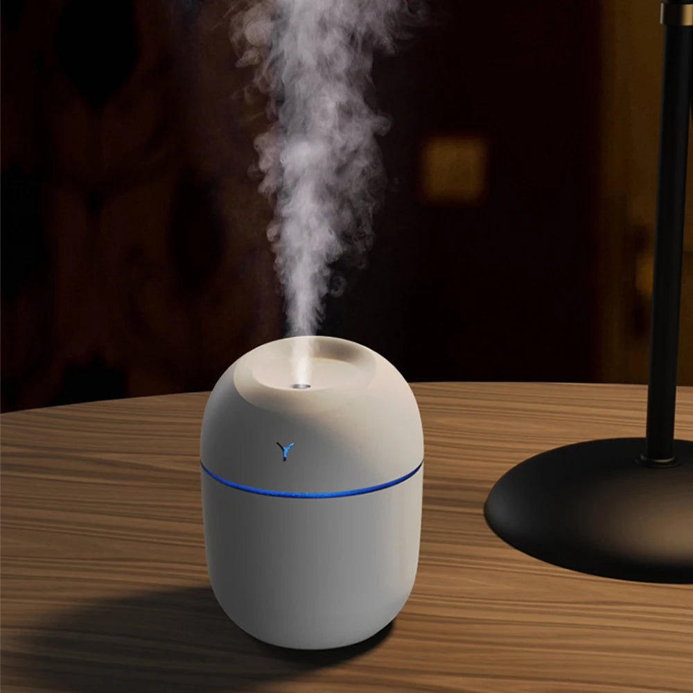 Mini 220ml Portable Aroma Humidifier