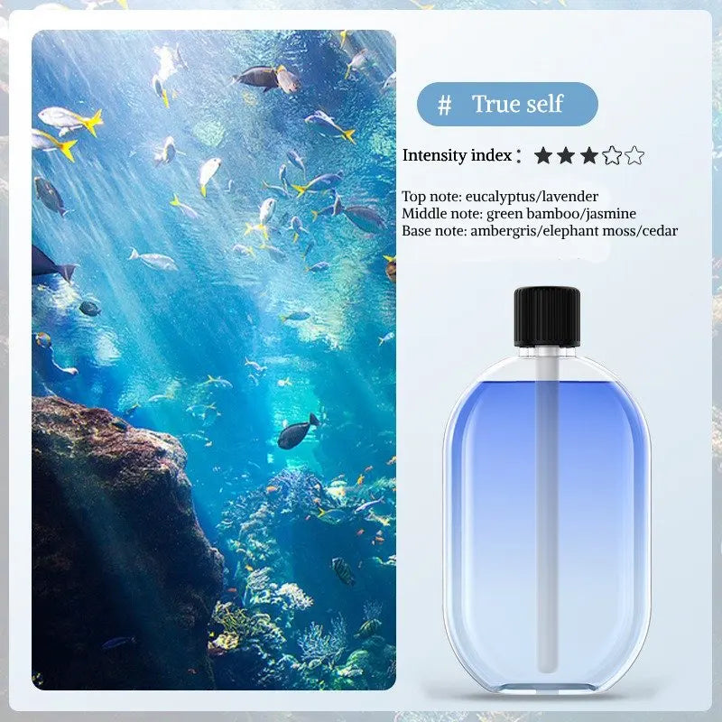 Digital 50ml Aromatherapy Diffuser