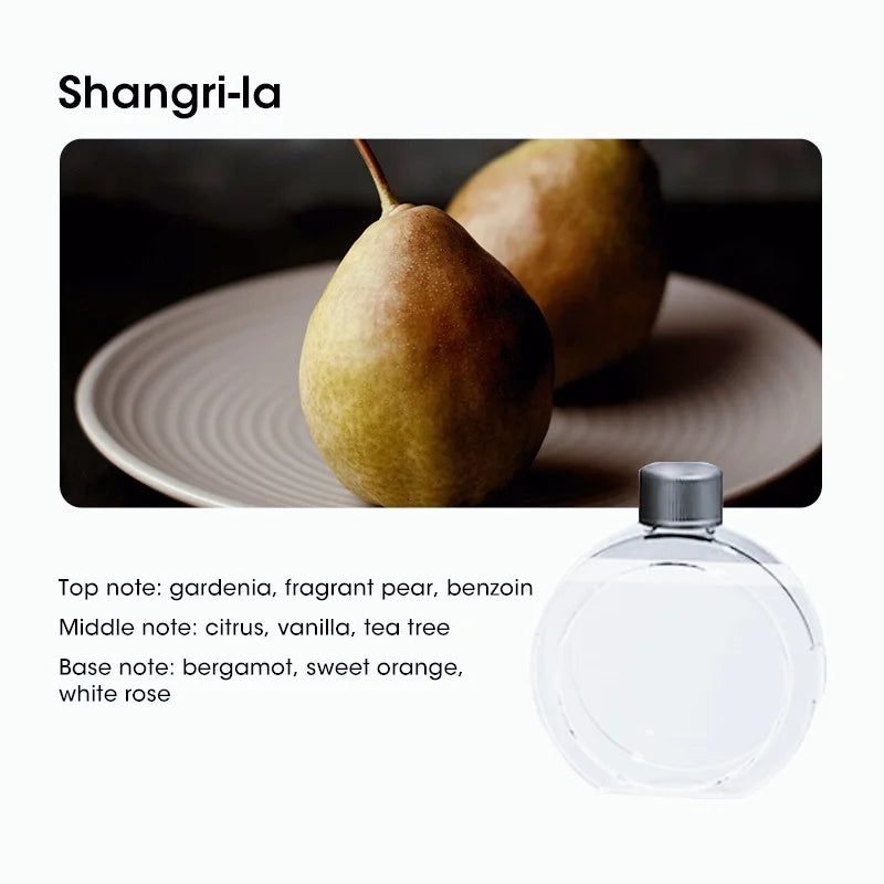 4-Speed Digital Aroma Diffuser