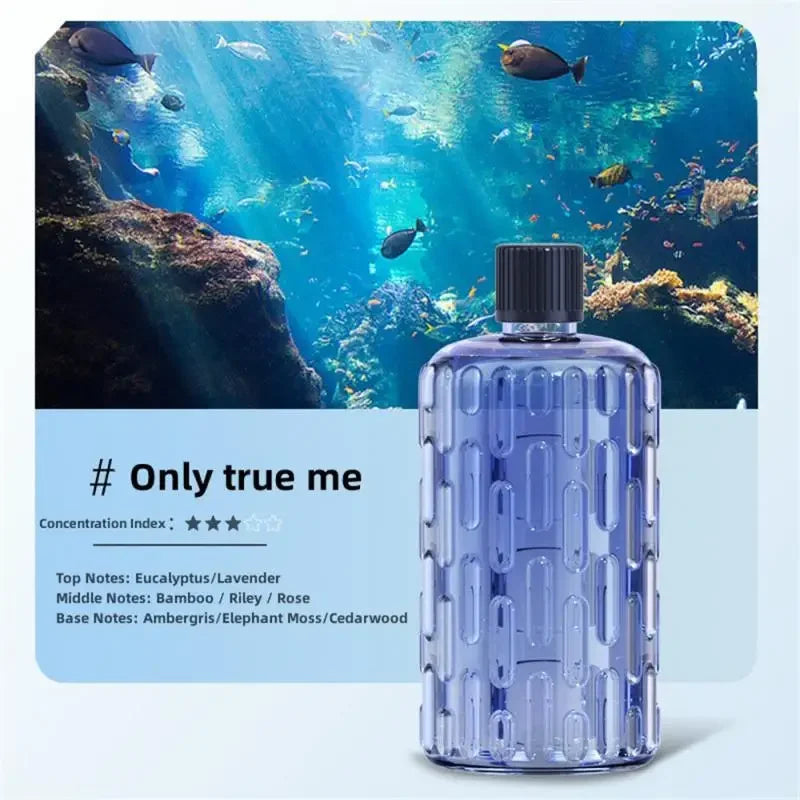 Aroma Diffuser & Humidifier for Home