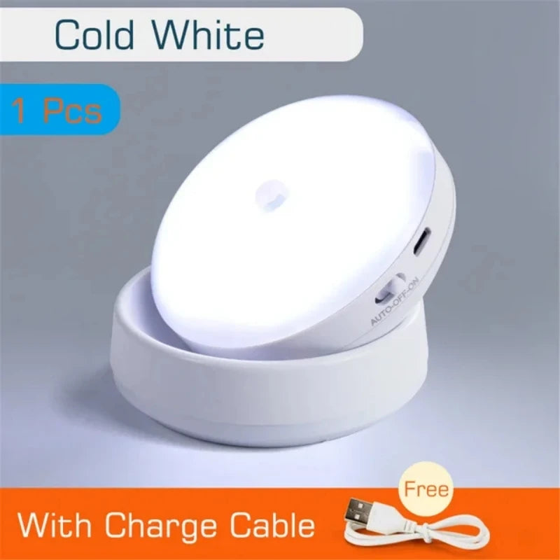 USB Rechargeable Motion Sensor LED Light